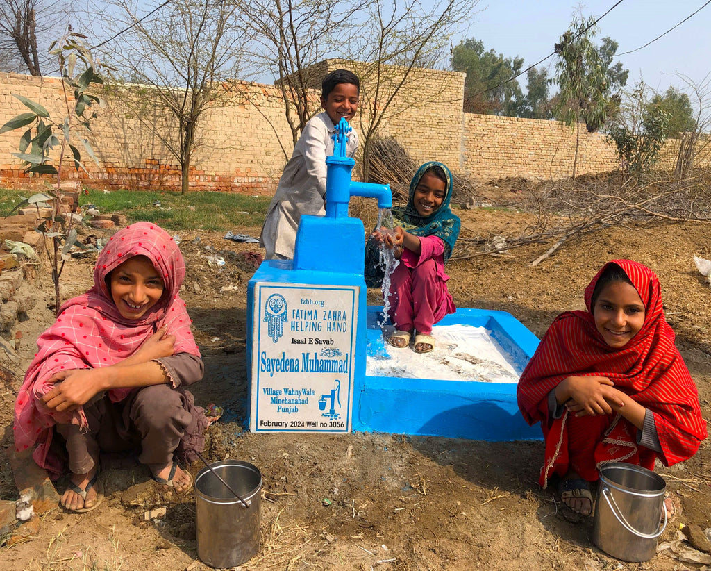 Punjab, Pakistan – Sayedena Muhammad ﷺ – FZHH Water Well# 3056