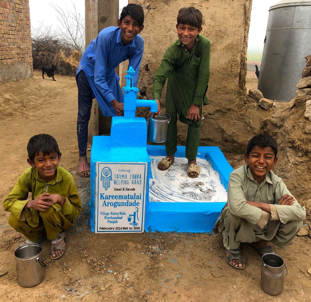 Punjab, Pakistan – Kareematulai Arogundade – FZHH Water Well# 3060