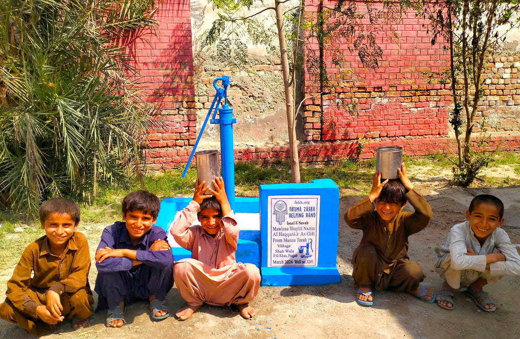 Punjab, Pakistan – Mawlana Shaykh Nazim Al Haqqani ق as gift from Manna Tarah – FZHH Water Well# 3241