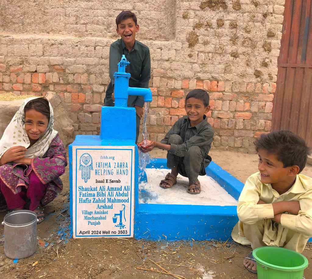 Punjab, Pakistan – Shaukat Ali Amzad Ali Fatima Bibi Ali Abdul Hafiz Zahid Mahmood Arshad – FZHH Water Well# 3503