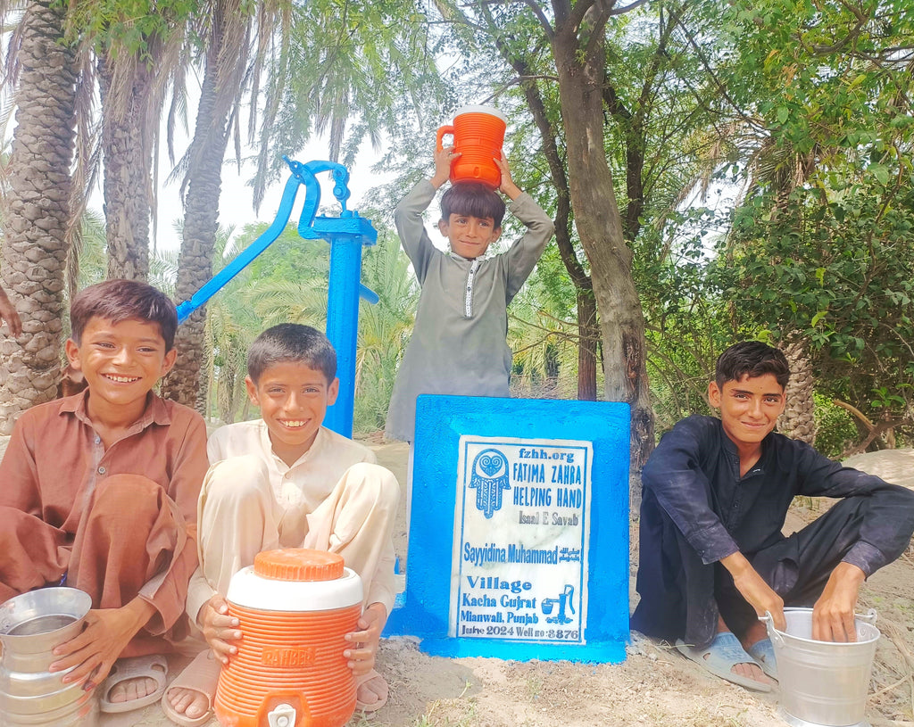 Punjab, Pakistan – Sayyidina Muhammad ﷺ – FZHH Water Well# 3876