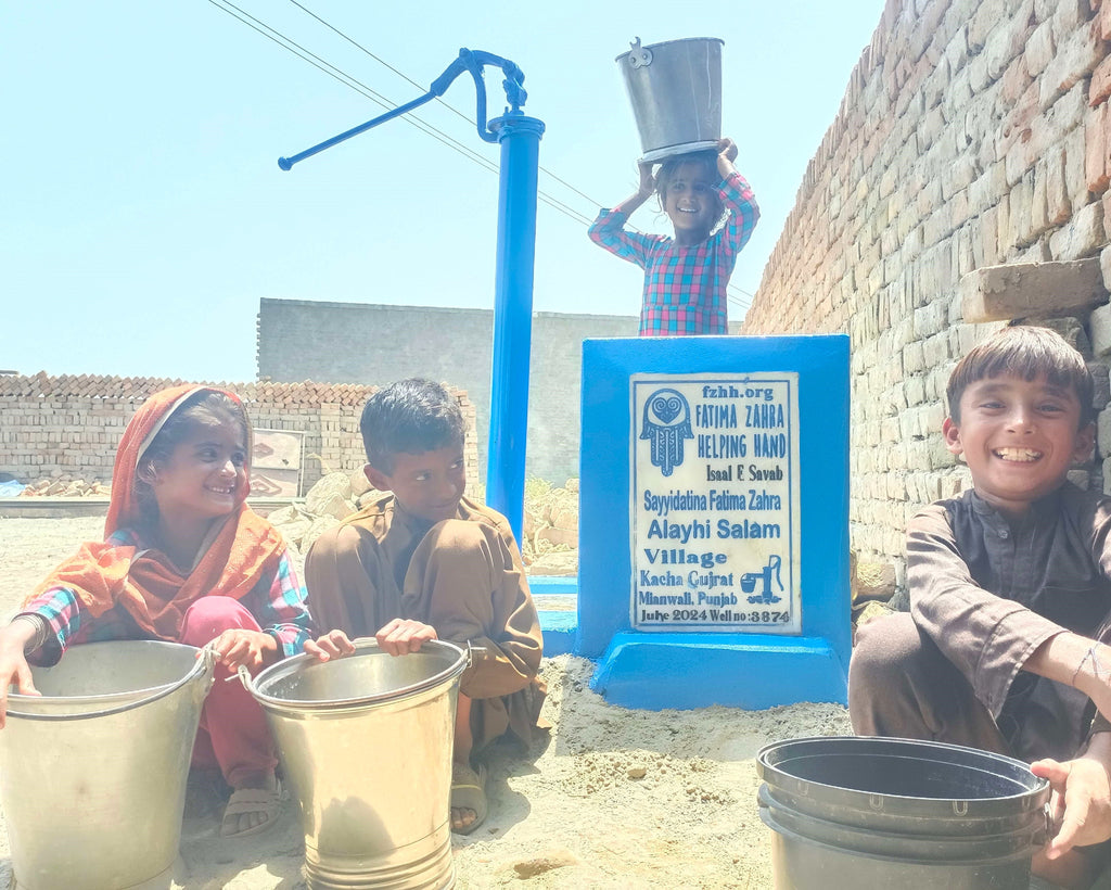 Punjab, Pakistan – Sayyidatina Fatima Zahra Alayhi Salam – FZHH Water Well# 3874