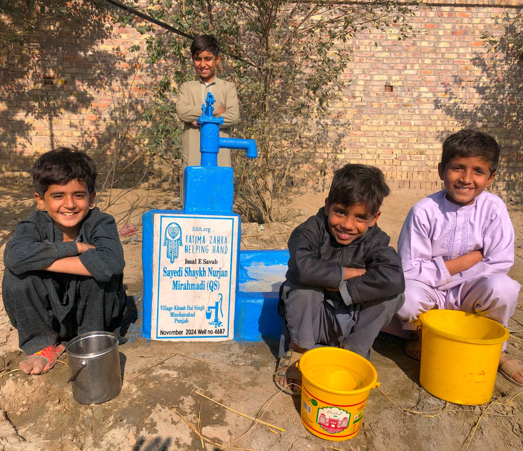 Punjab, Pakistan – Sayedi Shaykh Nurjan Mirahmadi (QS) – FZHH Water Well# 4687