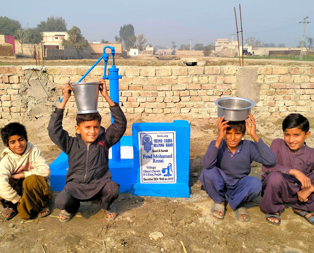 Punjab, Pakistan – Foad Mohamad Rezai – FZHH Water Well# 4933 Order no 37261