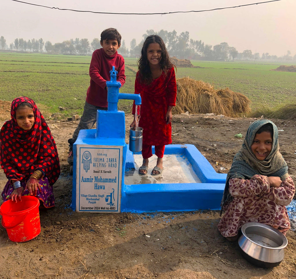 Punjab, Pakistan – Aamir Mohammed Hawa – FZHH Water Well# 4883 Order no 36765