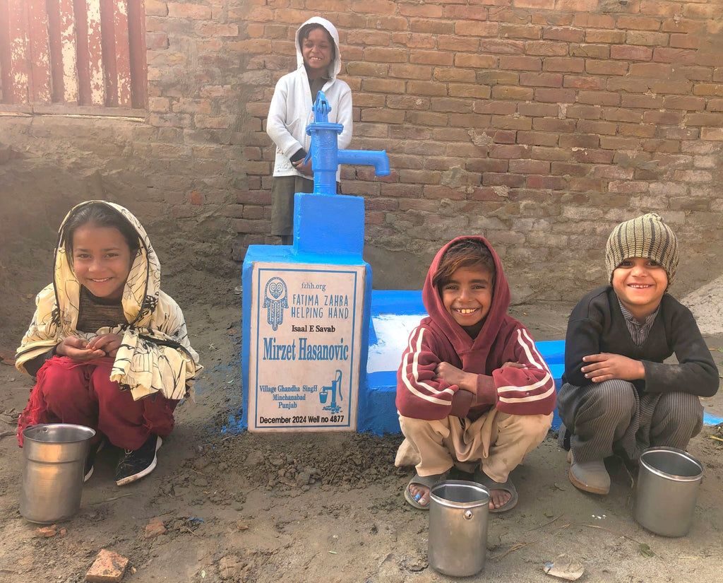 Punjab, Pakistan – Mirzet Hasanovic – FZHH Water Well# 4877  Order no 51940