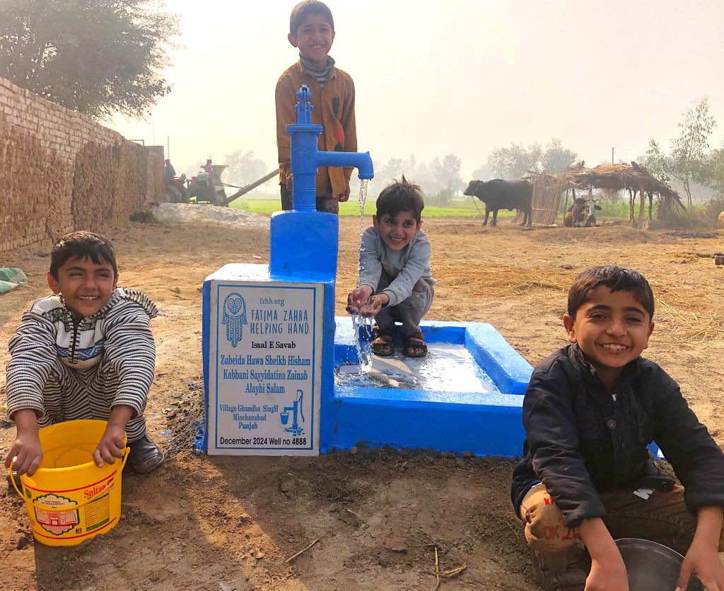 Punjab, Pakistan – Zubeida Hawa Sheikh Hisham Kabbani Sayyidatina Zainab Alayhi Salam – FZHH Water Well# 4888 Order no 36846