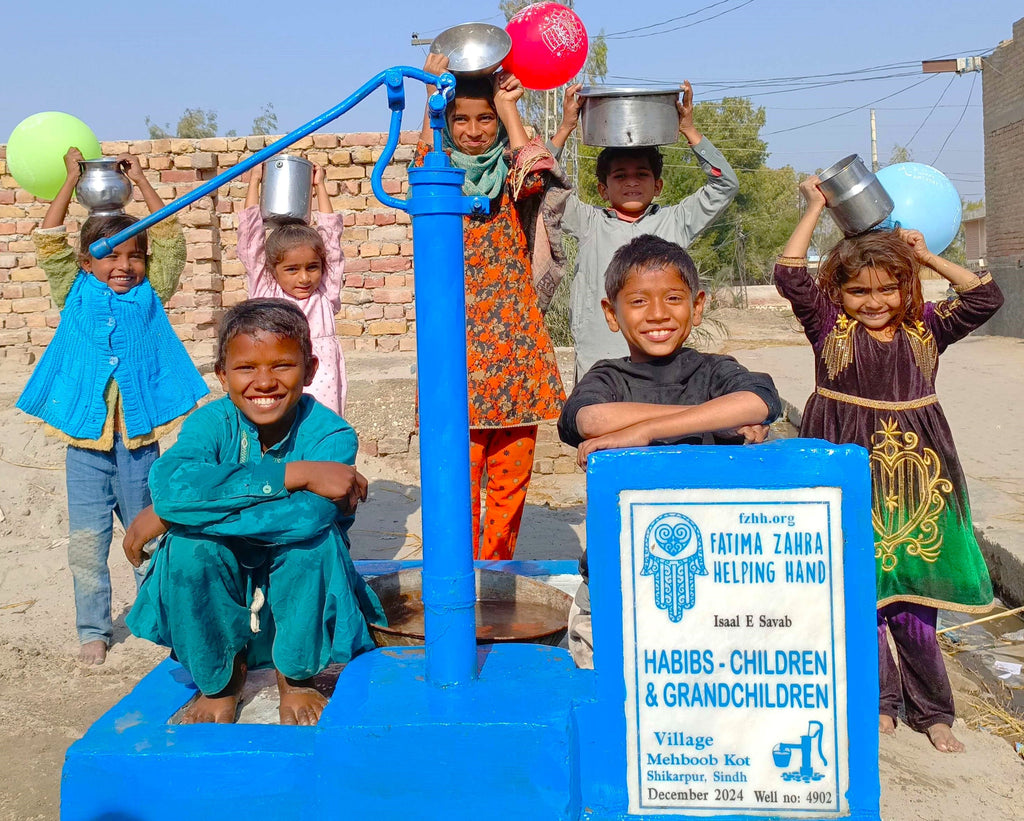 Sindh, Pakistan – HABIBS CHILDREN & GRANDCHILDREN – FZHH Water Well# 4902 Order no 52284