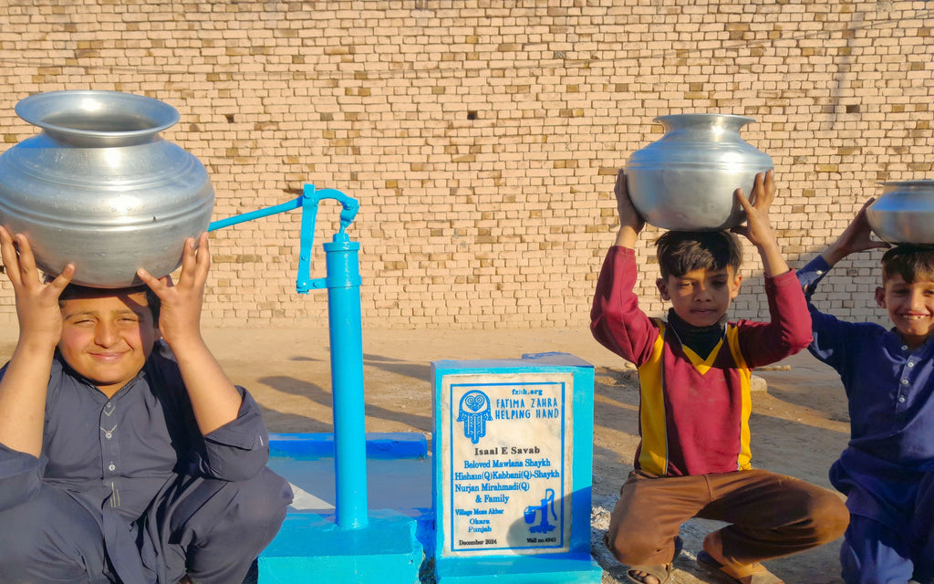 Punjab, Pakistan – Beloved Mawlana Shaykh Hisham (Q) Kabbani (Q) Shaykh Nurjan Mirahmadi (Q) and Family – US Order no. 51732 - Well no 4843