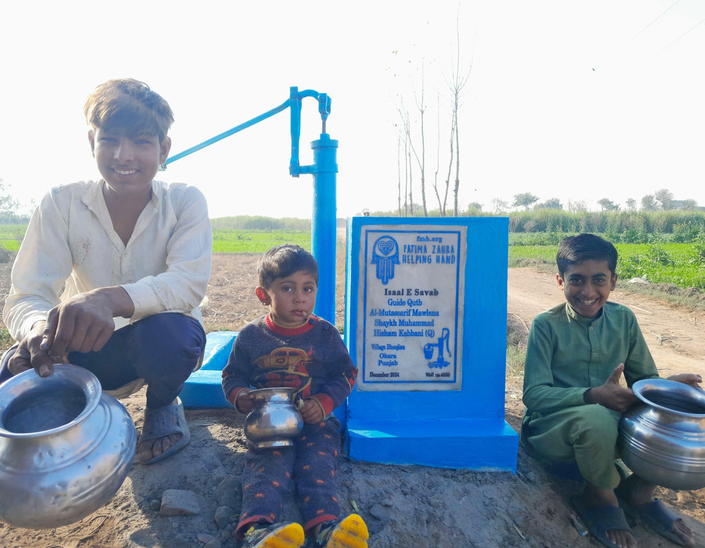 Punjab, Pakistan – Guide Qutb Al۔ Mutassarif Mawlana Shaykh Muhammad Hisham Kabbani – US Order no. 36602 - Well no 4838