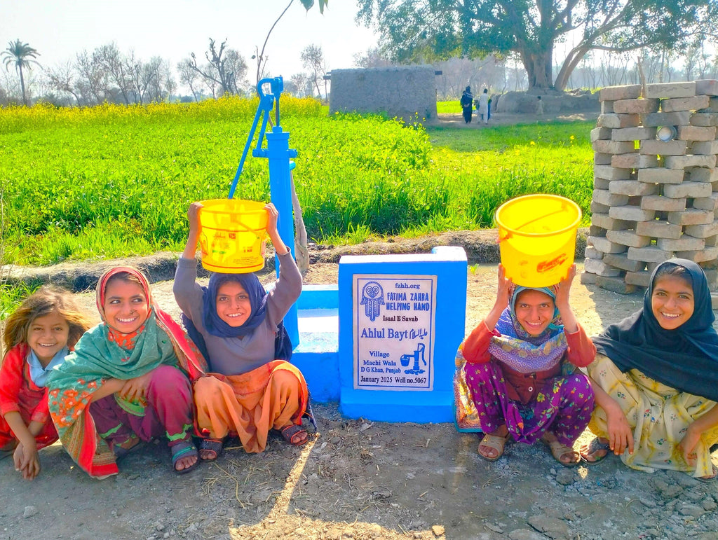 Punjab, Pakistan – Ahlul Bayt عليه السلام – US Order no. 53946 - Well no. 5067