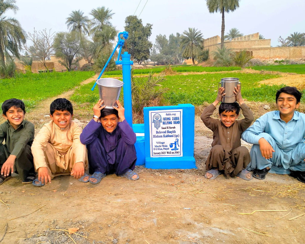 Punjab, Pakistan – Beloved Shaykh Hisham Kabbani (qs) – US Order no. 53889 - Well no 5065