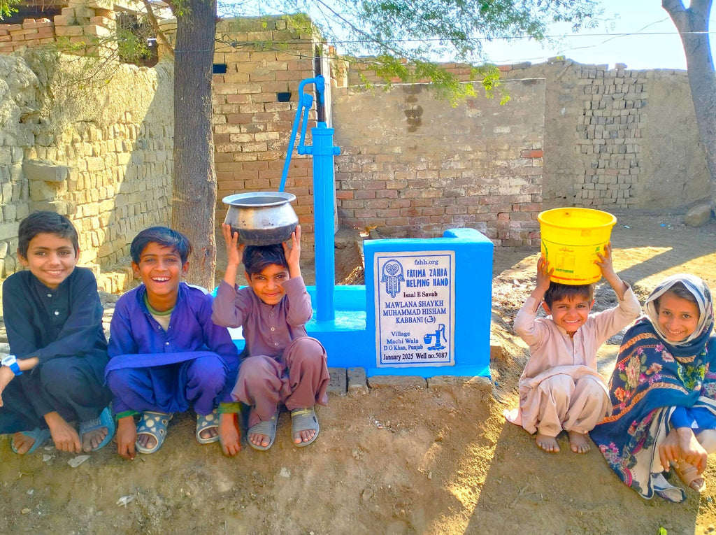 Punjab, Pakistan – MAWLANA SHAYKH MUHAMMAD HISHAM KABBANI (ق) – US Order no. 38130 - Well no. 5087