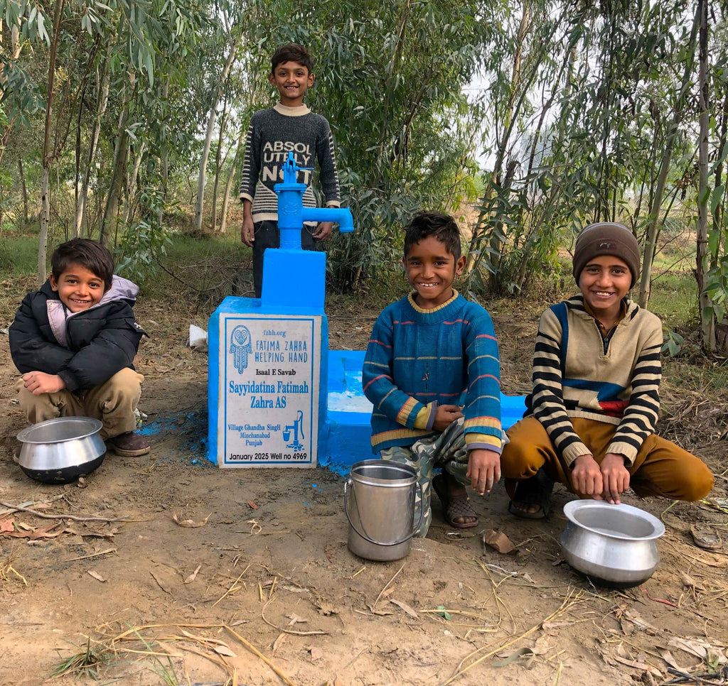 Punjab, Pakistan – Sayyidatina Fatimah Zahara As – US Order no. 53049 - Well no. 4969