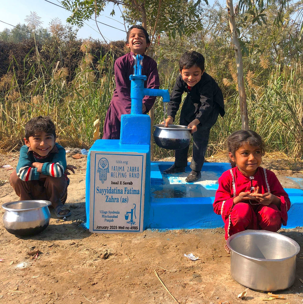 Punjab, Pakistan – Sayyidatina Fatima Zahra (as) – CA Order no. 37481 - Well no. 4985