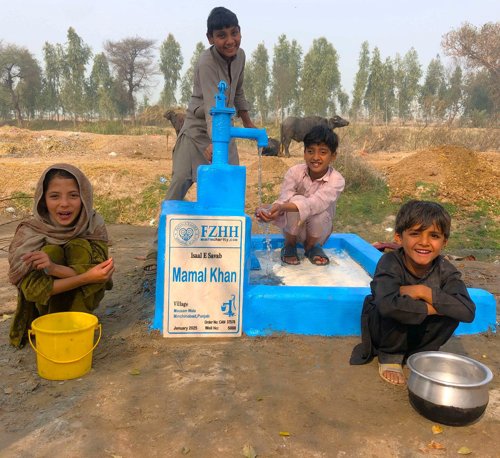 Punjab, Pakistan – Mamal Khan – CA Order no. 37578 - Well no. 5008