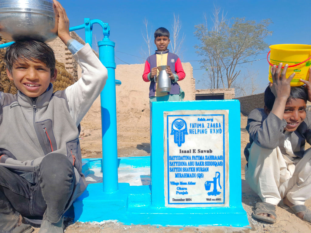 Punjab, Pakistan – Sayyidatina Fatima Zahra (AS) Sayyidina Abu Bakr Siddiq (AS) Sayyidi Shaykh Nurjan Mirahmadi (QS) – US Order no. 53007 - Well no. 4962