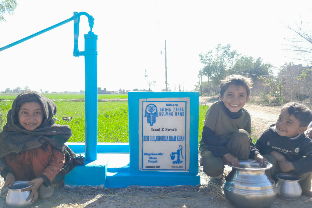 Punjab, Pakistan – Bibi Gul, Ghousia Iram Khan – CA Order no. 37406 - Well no. 4957