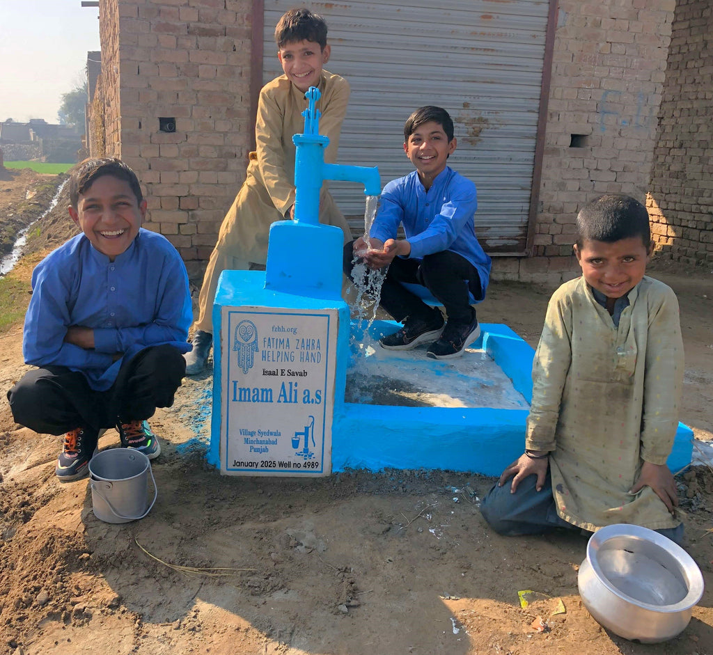 Punjab, Pakistan – Imam Ali a.s – CA Order no. 37494 - Well no. 4989