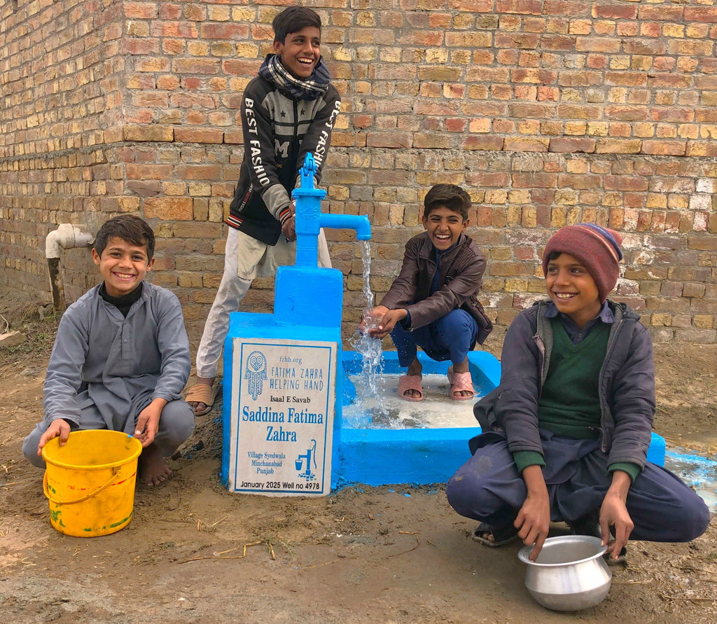 Punjab, Pakistan – Saddina Fatima Zahra – US Order no. 53067 - Well no. 4978