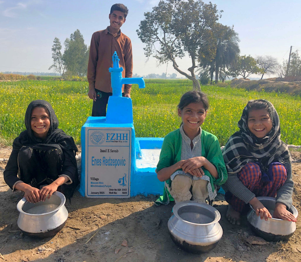 Punjab, Pakistan – Enes Redzepovic – US Order no. 53423 - Well no. 5025