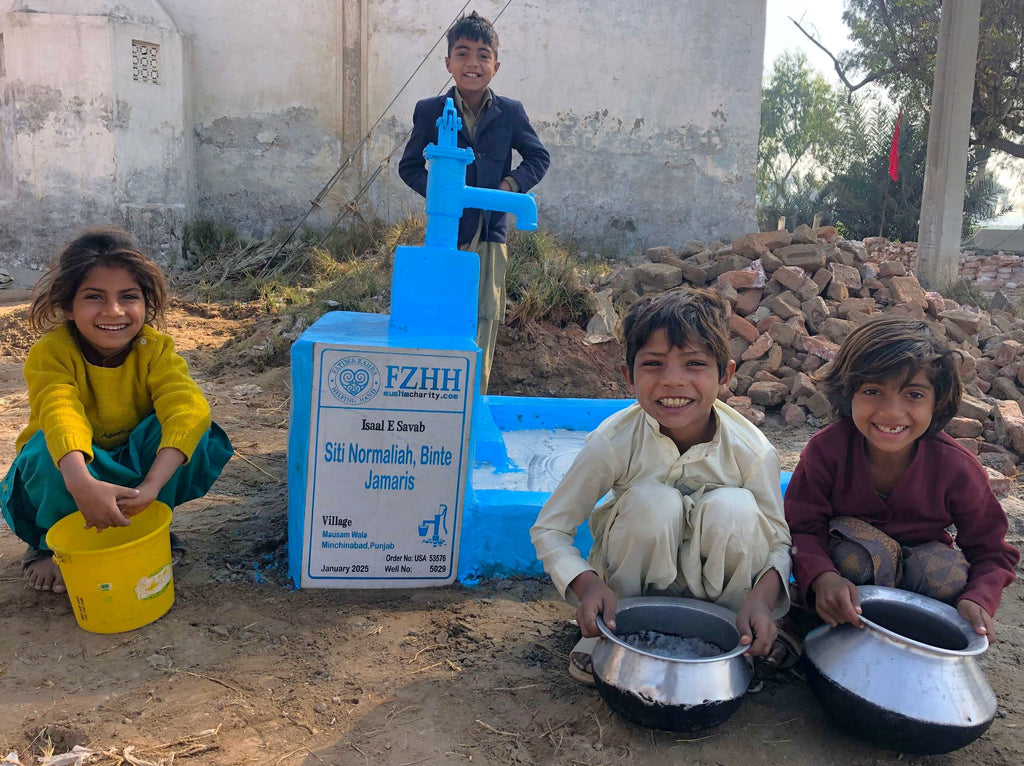 Punjab, Pakistan – Siti Normaliah, Binte Jamaris – US Order no. 53576 - Well no. 5029