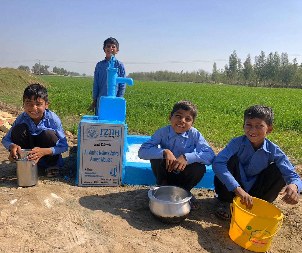 Punjab, Pakistan – Ali Amine Nehme Zahra Ahmad Moussa – US Order no. 55426 - Well no. 5189