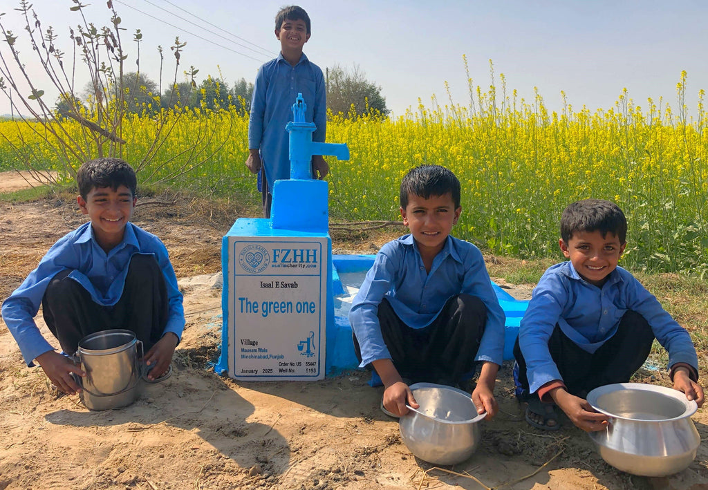 Punjab, Pakistan – The green one – US Order no. 55447 - Well no. 5193