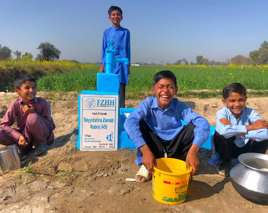 Punjab, Pakistan – Sayyidatina Zainab Kubra (AS) – US Order no. 55397 - Well no. 5185