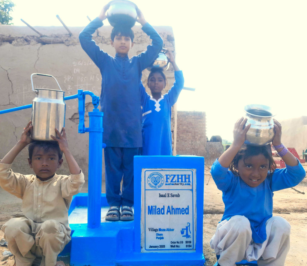 Punjab, Pakistan – Milad Ahmed – US Order no. 55139 - Well no. 5154