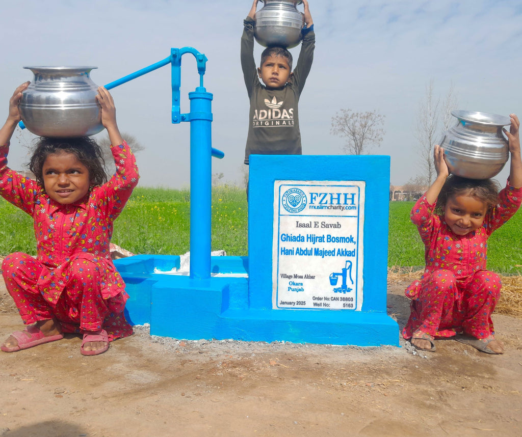 Punjab, Pakistan – Ghiada Hijrat Bosmok, Hani Abdul Majeed Akkad – CA Order no. 38803 - Well no. 5163