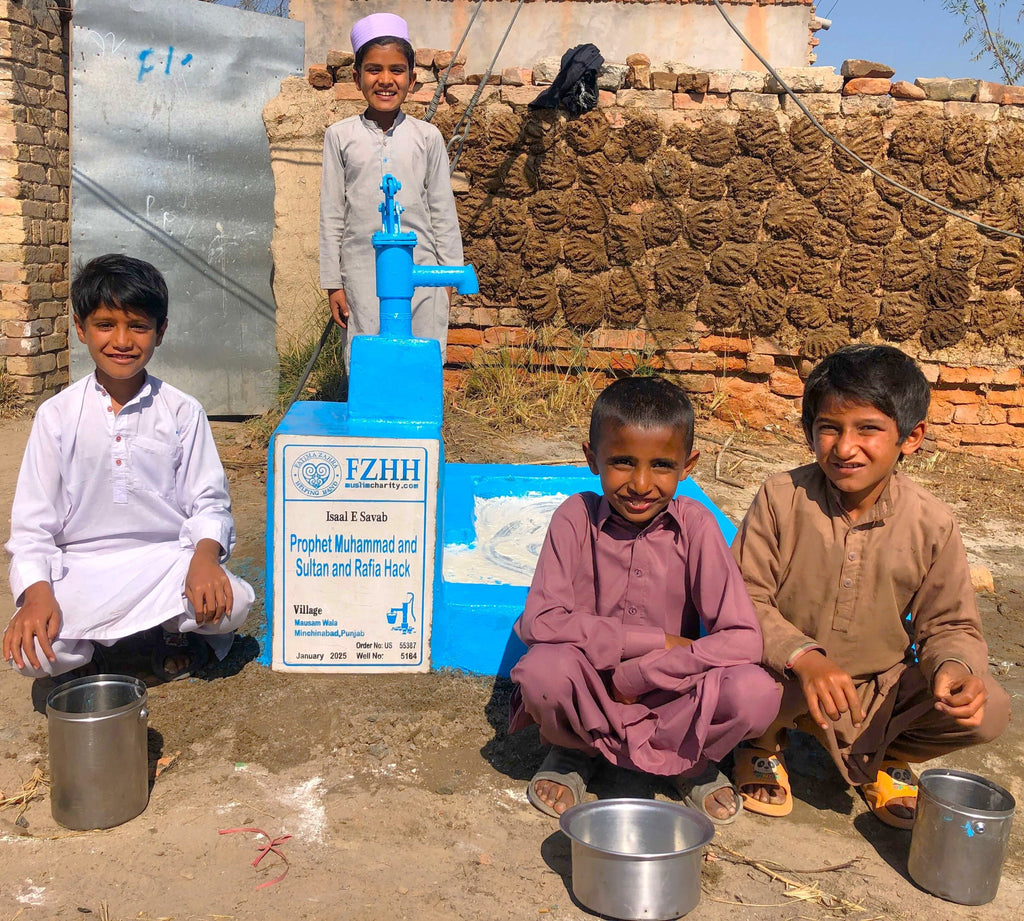 Punjab, Pakistan – Prophet Muhammad and Sultan and Rafia – US Order no. 55387 - Well no. 5184