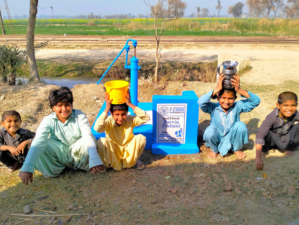 Punjab, Pakistan – Parvin Frahani – US Order no. 56435 - Well no. 5239