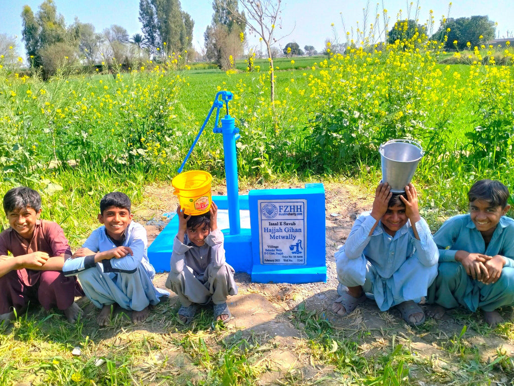 Punjab, Pakistan – Hajjah Gihan Metwally – US Order no. 56440 - Well no. 5240