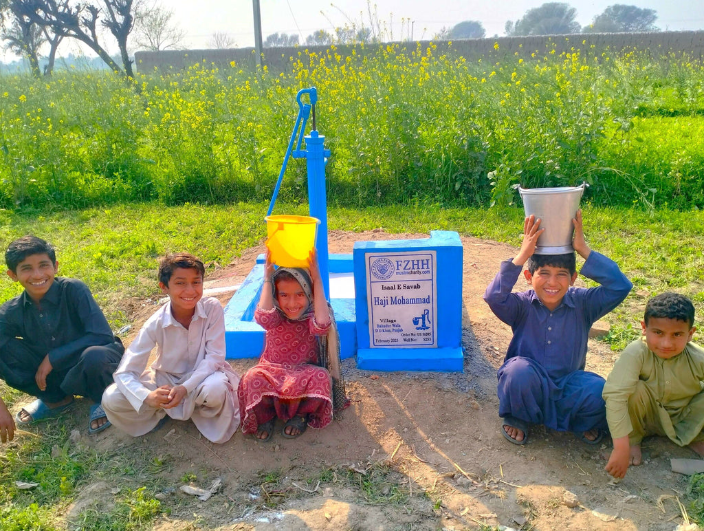 Punjab, Pakistan – Haji Mohammad – US Order no. 56595 - Well no. 5253