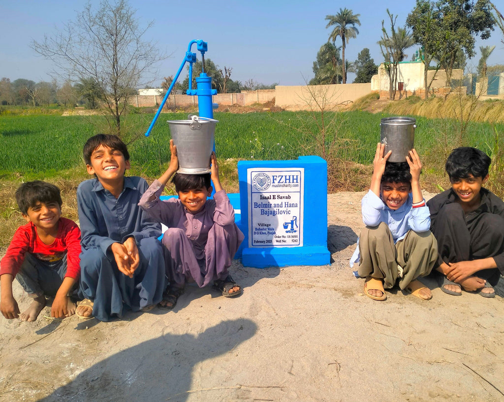 Punjab, Pakistan – Belmir and Hana Bajagilovic – US Order no. 56501 - Well no. 5242