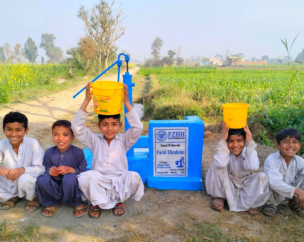 Punjab, Pakistan – Farid Ebrahimi – US Order no. 56595 - Well no. 5254