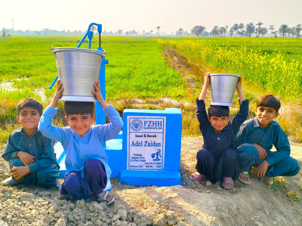 Punjab, Pakistan – Adel Zaidan – CA Order no. 39188 - Well no. 5224