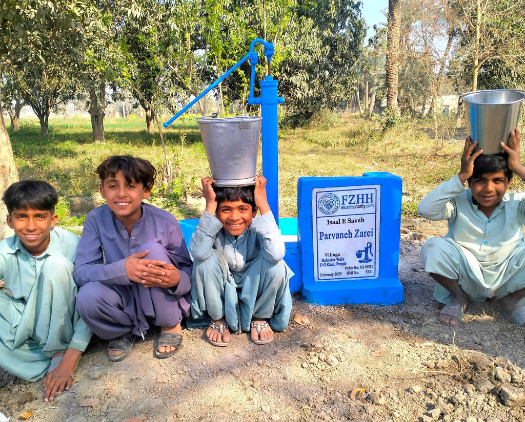 Punjab, Pakistan – Parvaneh Zarei – US Order no. 56571 - Well no. 5251