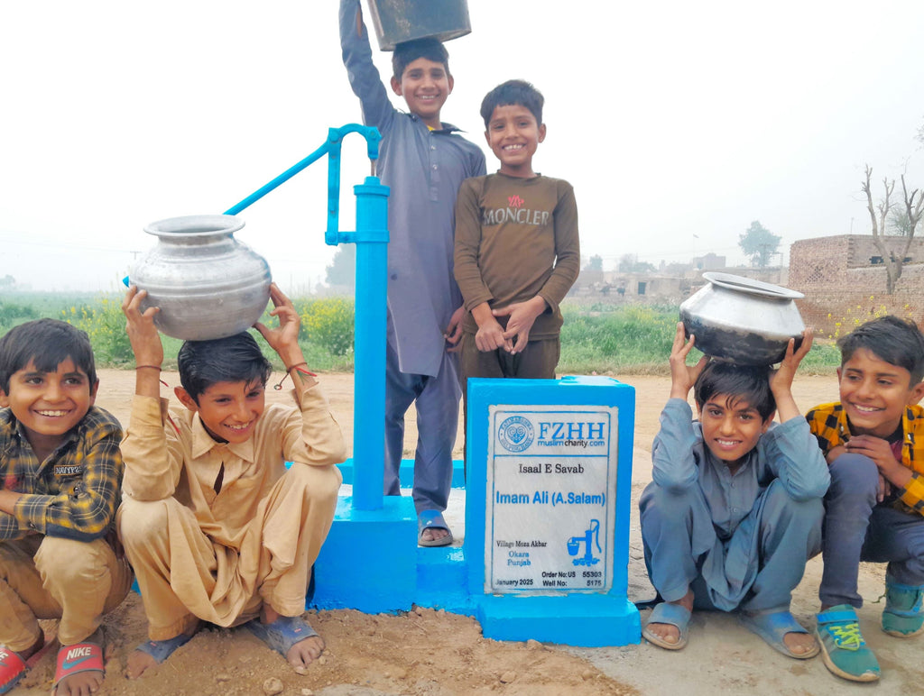 Punjab, Pakistan – Imam Ali (A.Salam) – US Order no. 55303 - Well no. 5175