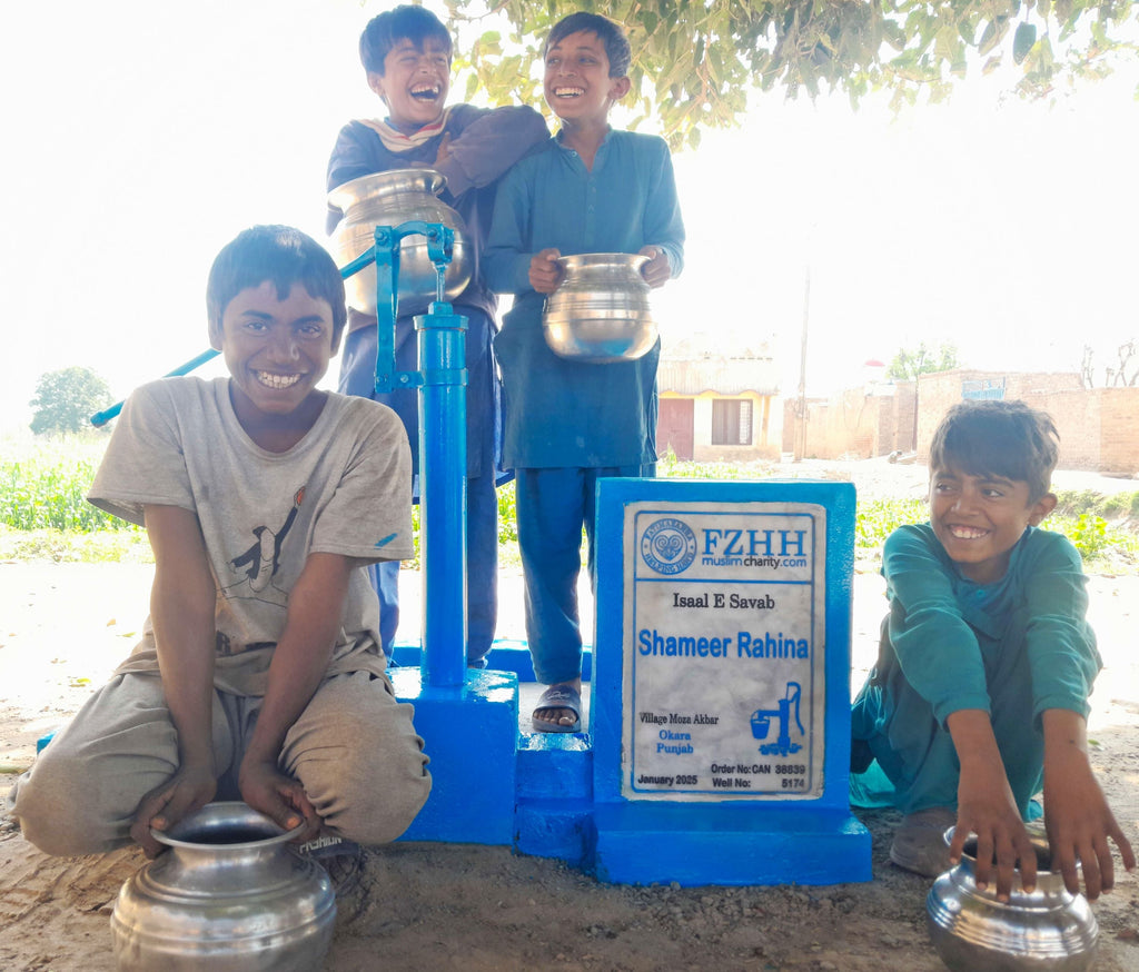 Punjab, Pakistan – Shameer Rahina – CA Order no. 38839 - Well no. 5174