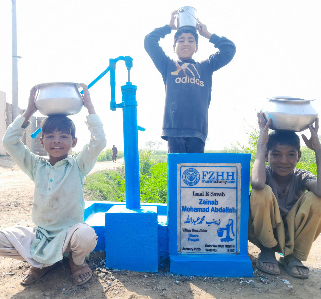 Punjab, Pakistan – Zeinab Mohamad Abdallah زينب محمد عبدالله – CA Order no. 38814 - Well no. 5167