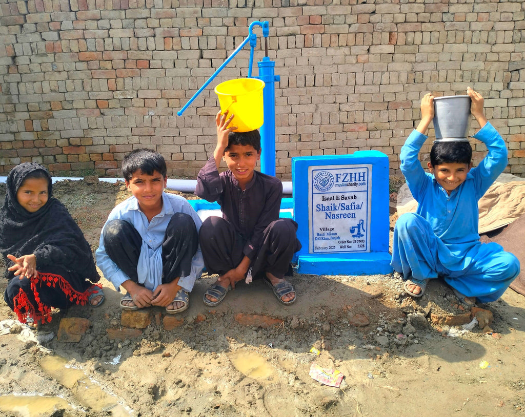 Punjab, Pakistan – Shaik/Safia/Nasreen – US Order no. 57473 - Well no. 5328