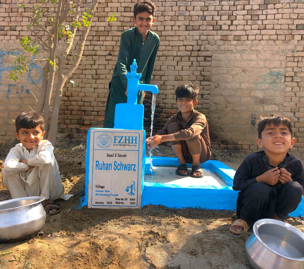 Punjab, Pakistan – Ruhan Schwarz – US Order no. 55666 - Well no. 5203