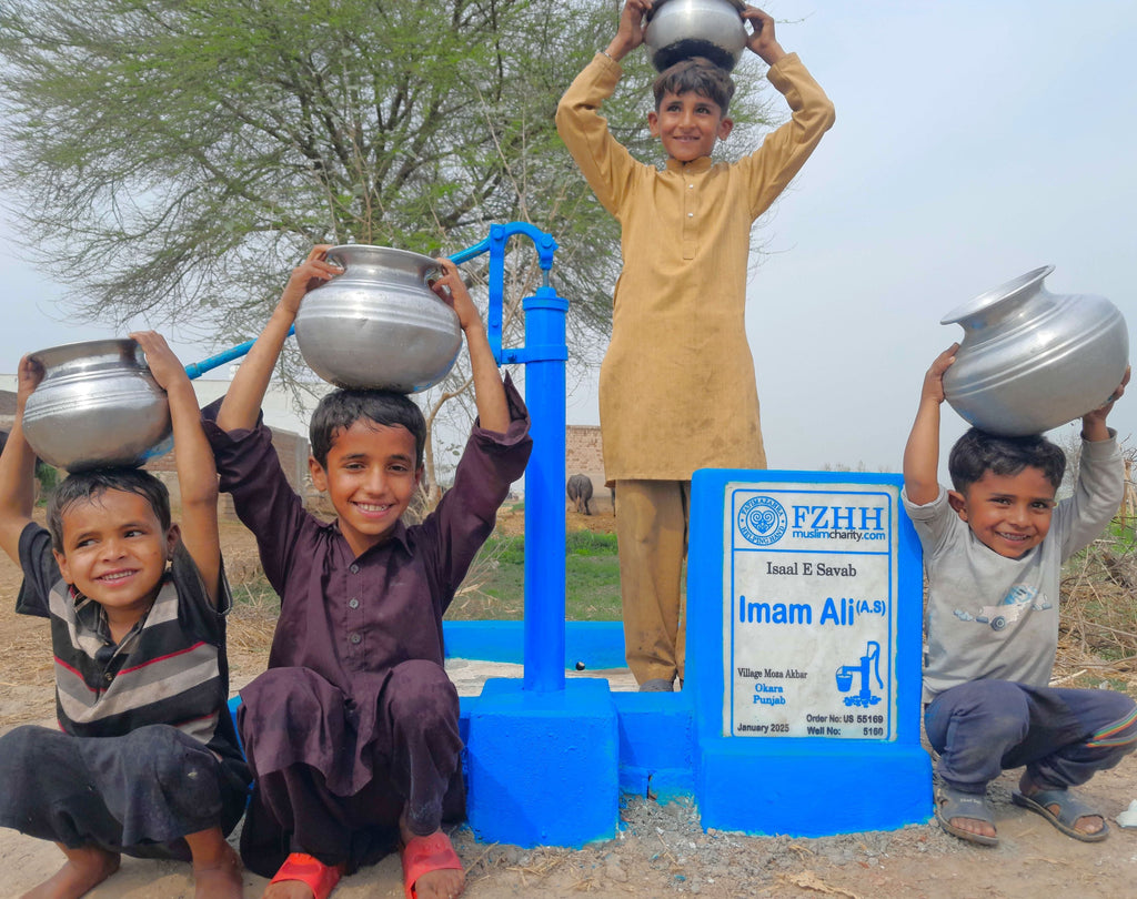 Punjab, Pakistan – Imam Ali (A.S) – US Order no. 55169 - Well no. 5160