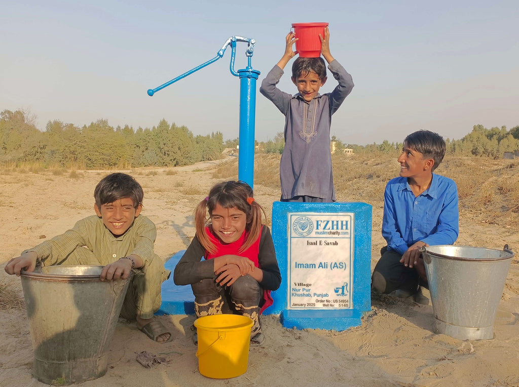 Punjab, Pakistan – Imam Ali (AS) – US Order no. 54954 - Well no. 5145