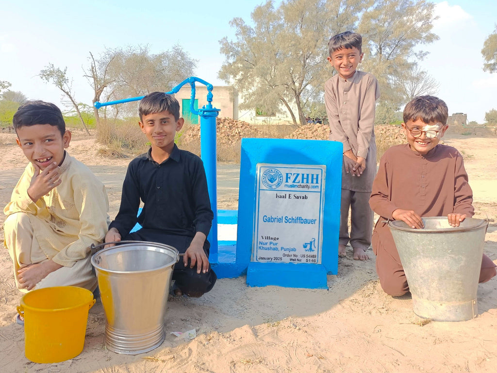 Punjab, Pakistan – Gabriel Schiffbauer – US Order no. 54989 - Well no. 5146