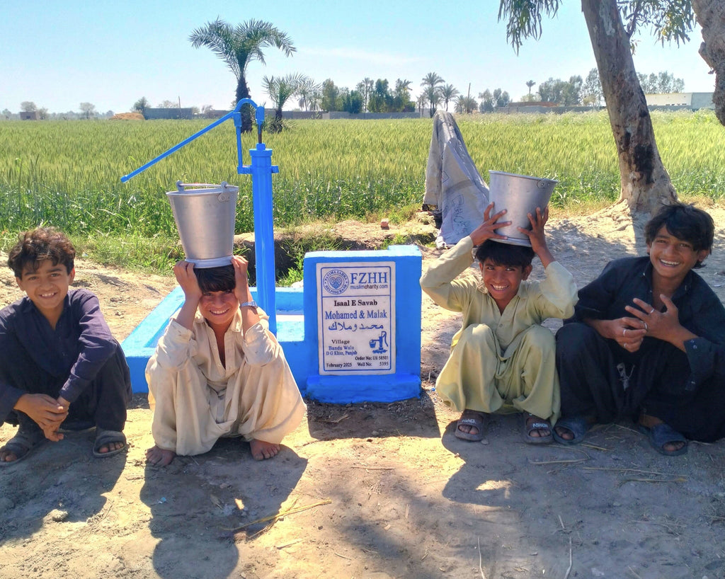 Punjab, Pakistan – محمد و ملاك Mohamed & Malak – US Order no. 58503 - Well no. 5395