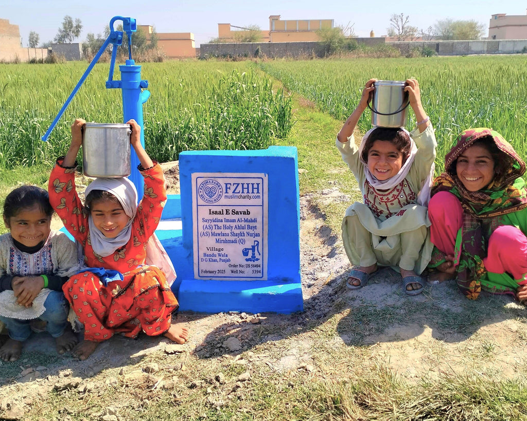 Punjab, Pakistan – Sayyidina Imam Al-Mahdi (AS) The Holy Ahlul Bayt (AS) Mawlana Shaykh Nurjan Mirahmadi (Q) – US Order no. 58494 - Well no. 5394