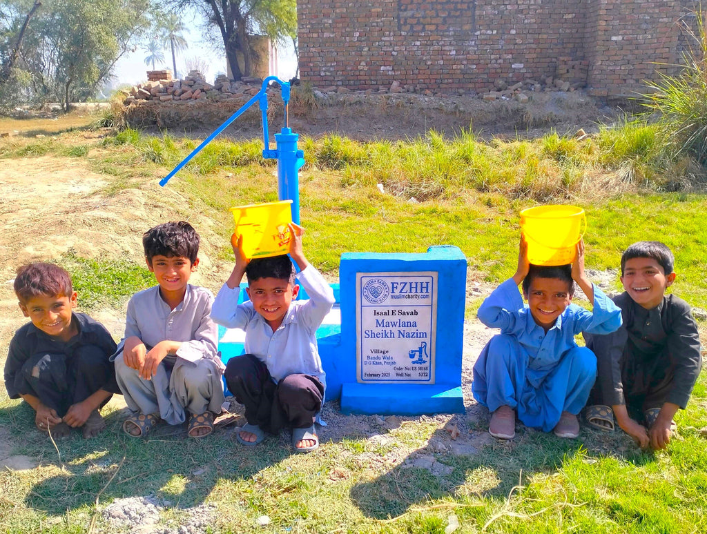 Punjab, Pakistan – Mawlana Sheikh Nazim – US Order no. 58168 - Well no. 5372